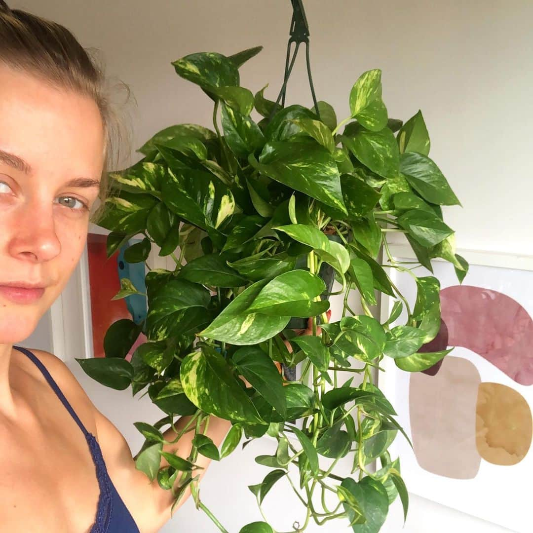 マディソン・ハベルさんのインスタグラム写真 - (マディソン・ハベルInstagram)「I keep looking through my camera roll to find fun photos of this summer, and all I find are photos of plants. This is one of the few where I squeezed into the frame. You can see that it was more important to fit my #pothos in than my whole head. You know, priorities!  . . What does your camera roll look like this summer?」8月17日 22時51分 - splashmadison