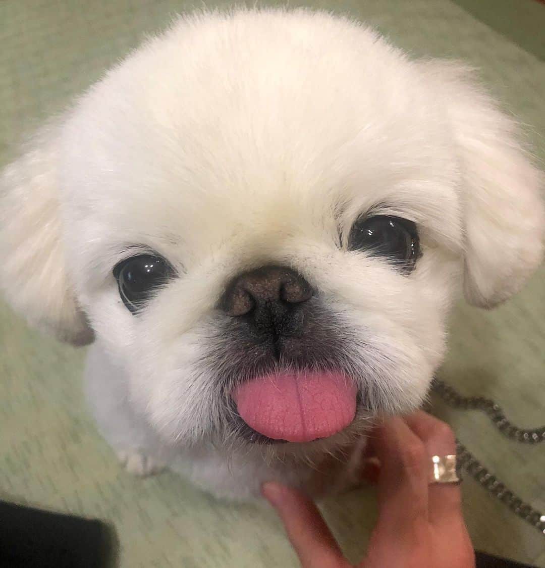 こなつのインスタグラム：「毎日暑くて暑くて溶けちゃうわ😦🔥 Hot💥Hot🍧Hot⚡️」