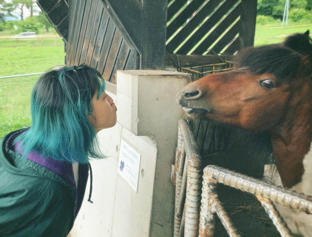佐々木萌のインスタグラム：「牧場行きたいな」
