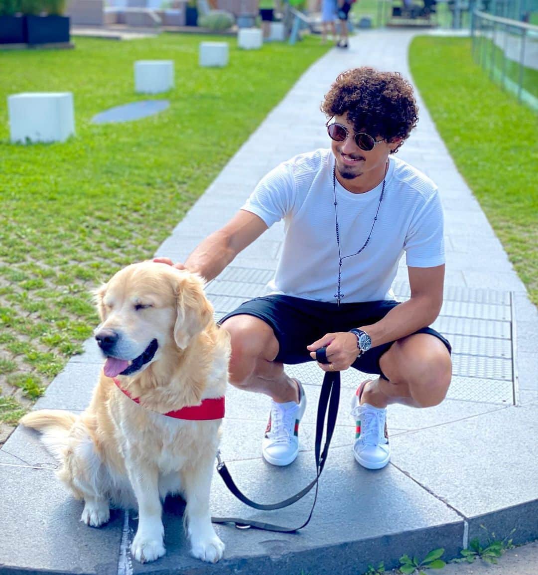 のインスタグラム：「Enjoying the day off at @redbullhangar7 with Léo . 💙  #outdoorlounge #hangar7 #salzburg #goldenretriever #leo #dog #dayoff」