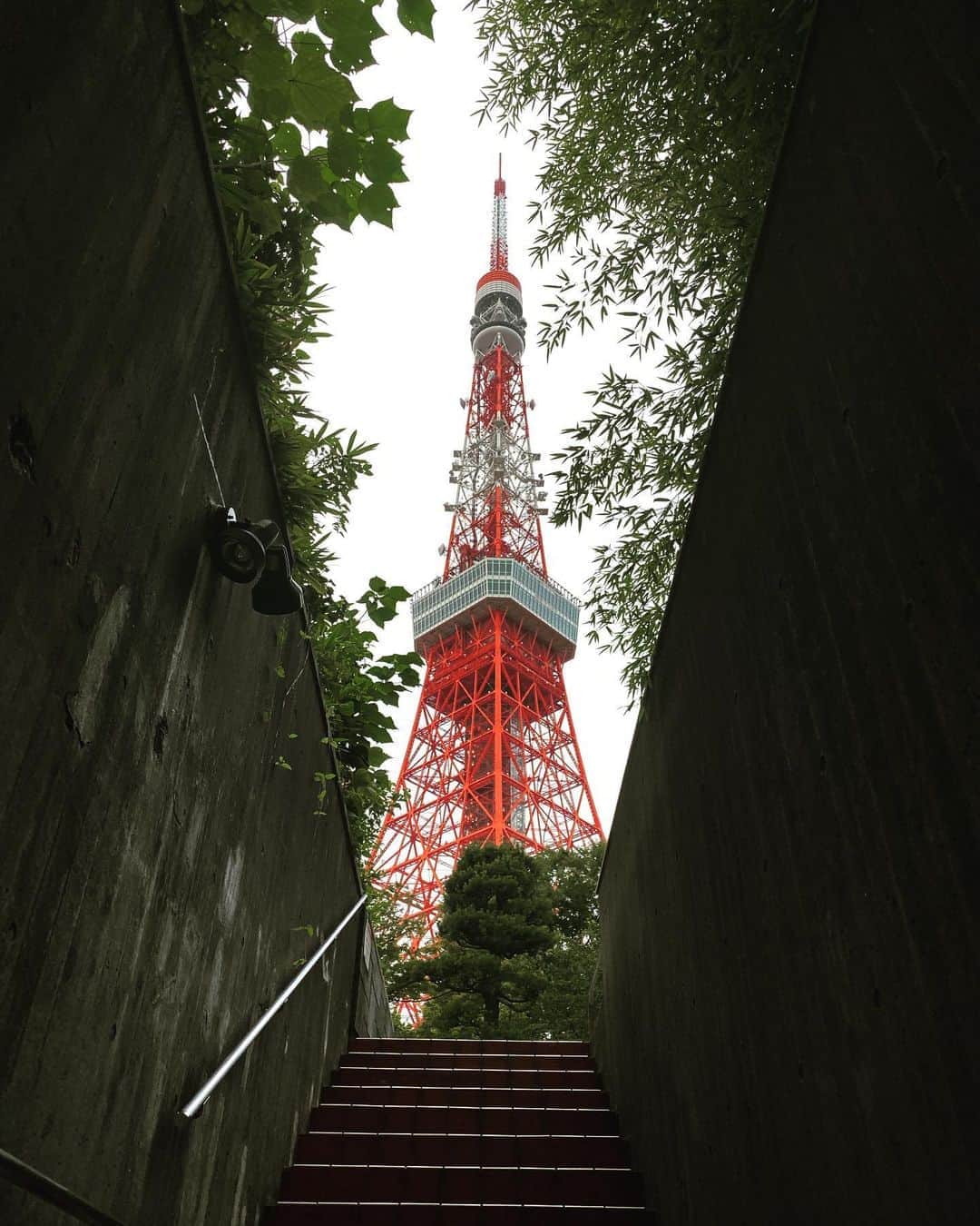 のインスタグラム：「東京タワー3連投 夕立直前景」
