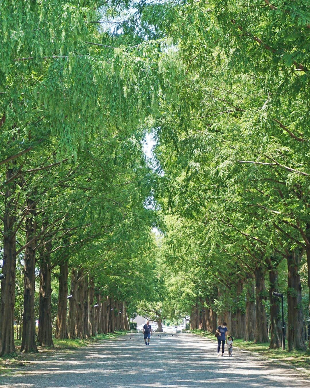 平塚市のグルメインスタ