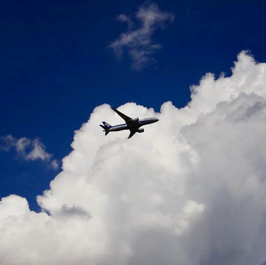 ANAさんのインスタグラム写真 - (ANAInstagram)「夏空とヒコーキ✈️﻿ ﻿ #夏の雲 #夏の空 #青と白の #コントラスト #ANAブルー #成田空港上空 #上昇中 #ボーイング787 #入道雲 #夏空 #夏気分 #次行きたい旅スポット #爽やか #ダレカニミセタイソラ #ヒコーキ #ソラマニ_ヒコーキ #nrt #summer #sky #cloud #contrast #flight #fly #b787 #anablue #anaairplane #ana_jp﻿ ﻿ ANAの飛行機は「#ソラマニ_ヒコーキ 」をつけて投稿してね📷インスタやANAの各メディアでご紹介していきます✈️」8月3日 17時26分 - ana.japan