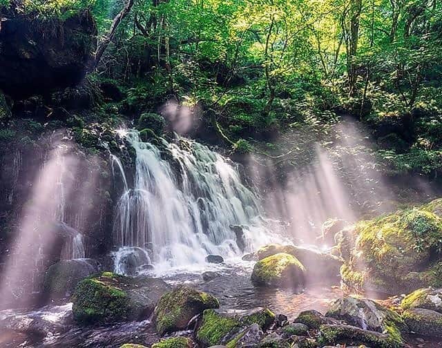 のインスタグラム：「. The lush green and waterfalls here dance against the light shining though. #AmazingAugust  光芒が差し込み、緑も水も輝く #元滝伏流水 ☀️ . . Photo by @_taka23_ Post your memories with #FlyJAL  #JapanAirlines #japan #akita #waterfallphotography」