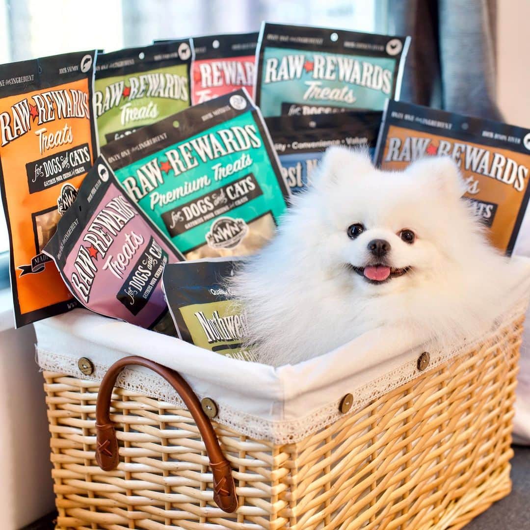 Mochi the Orkyehさんのインスタグラム写真 - (Mochi the OrkyehInstagram)「Who doesn’t love special deliveries? Thank you @northwestnaturalshk for sending me this lovely basket of freeze dried raw treats! 🥩🦴😋 This is going to keep me occupied for days!!!  Treats by @northwestnaturalshk are both dog and cat friendly! Thus, you don’t need to buy two different bags to spoil your fur babies. They have an one bag fits both! 🐶🐱  We love how they have a huge variety of flavours! The most interesting ones to us are the freeze dried mussels and freeze dried shrimp! They also have a huge selection of liver treats such as beef, pork, chicken, bison and lamb. It’s super healthy and a great protein for your pups! We’re very excited to try them out! 🤤🍤」8月3日 17時53分 - orkyeh