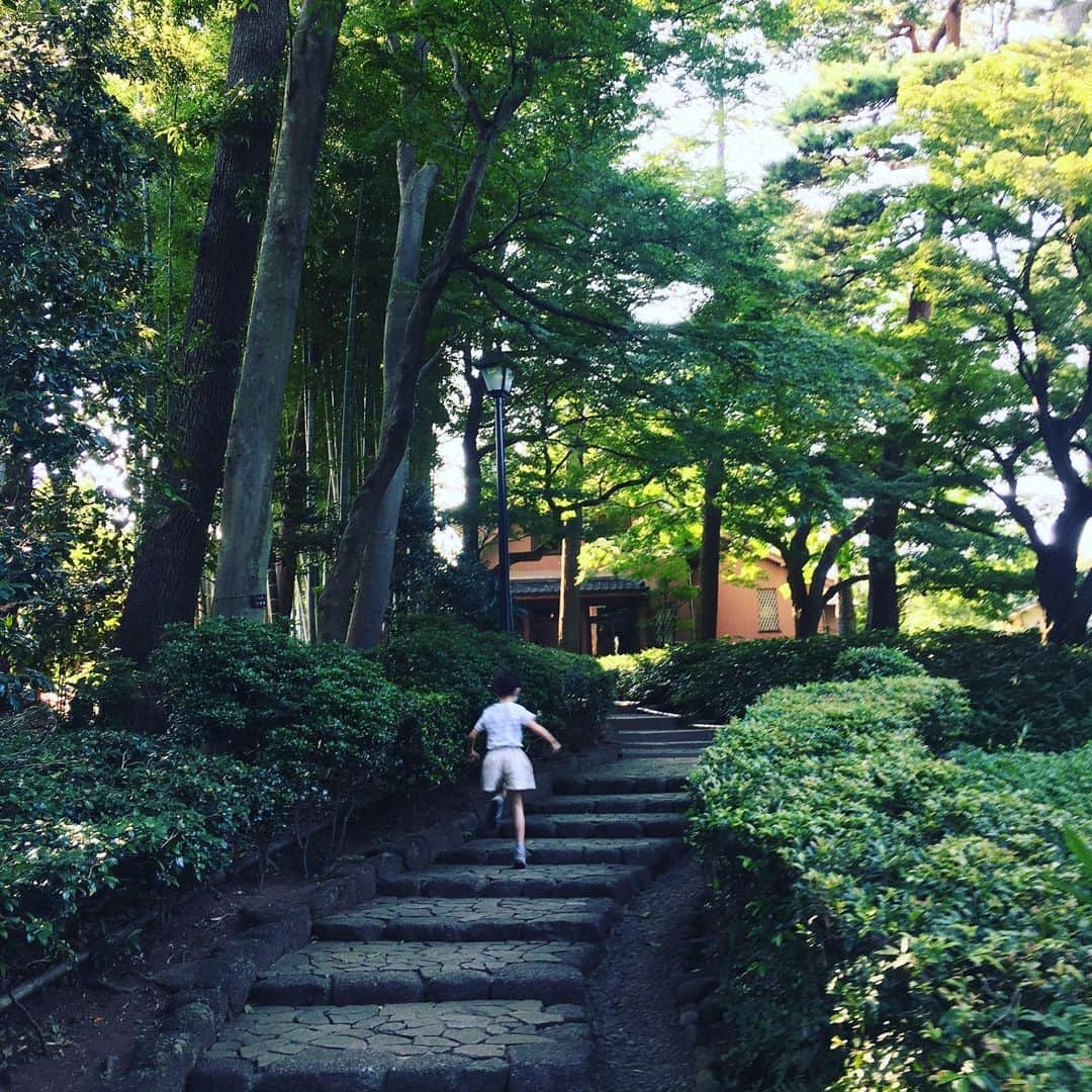 川江美奈子さんのインスタグラム写真 - (川江美奈子Instagram)「涼さがし  #ootaguropark」8月3日 17時55分 - minakokawae