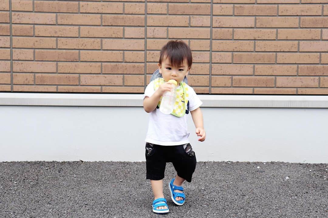 Momoeのインスタグラム：「. .  パパがいい感じの壁見つけて 写真撮ってた📸笑 . . #happy #家事 #育児 #family #家族 #boy #smile #男の子 #息子 #code #love #lucky #kids #子供 #thankyou #宝物 #ベビー #fashion #follow #心 #縁 #パパ #ママ #家族写真 #男の子ママ #赤ちゃん写真 #photo #子育て #1歳 #flower」