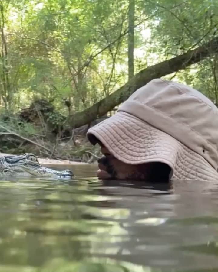 WildLifeのインスタグラム：「Make sure to follow @discovercrocodiles for more amazing videos of 🐊🐊🐊 Video by @gatorboysouth」
