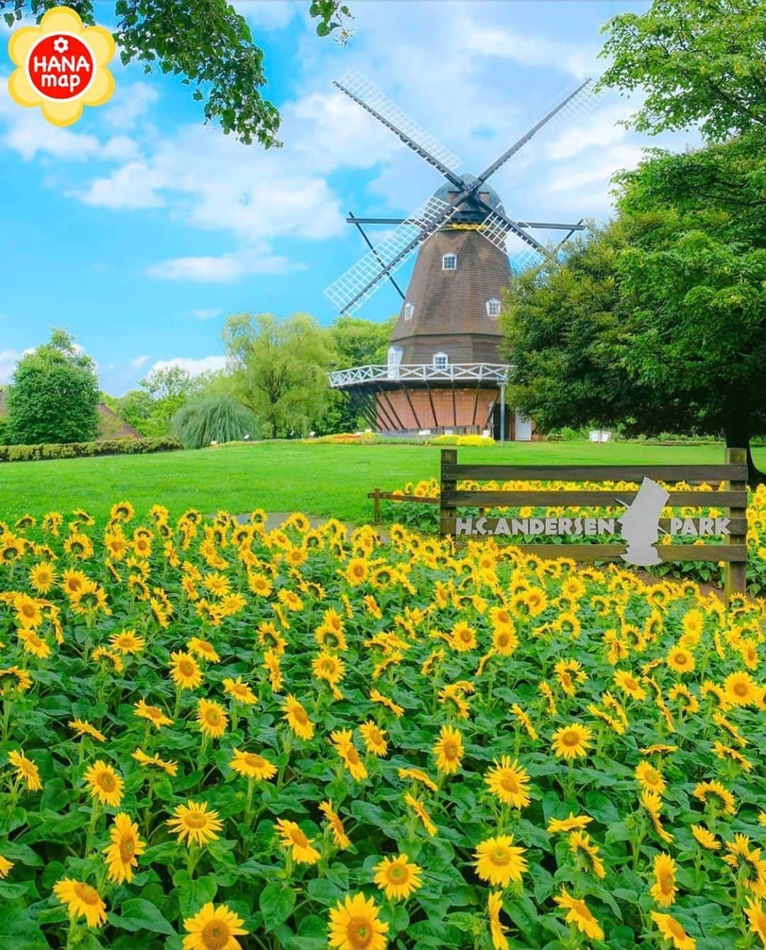 はなまっぷ❁日本の花風景のインスタグラム