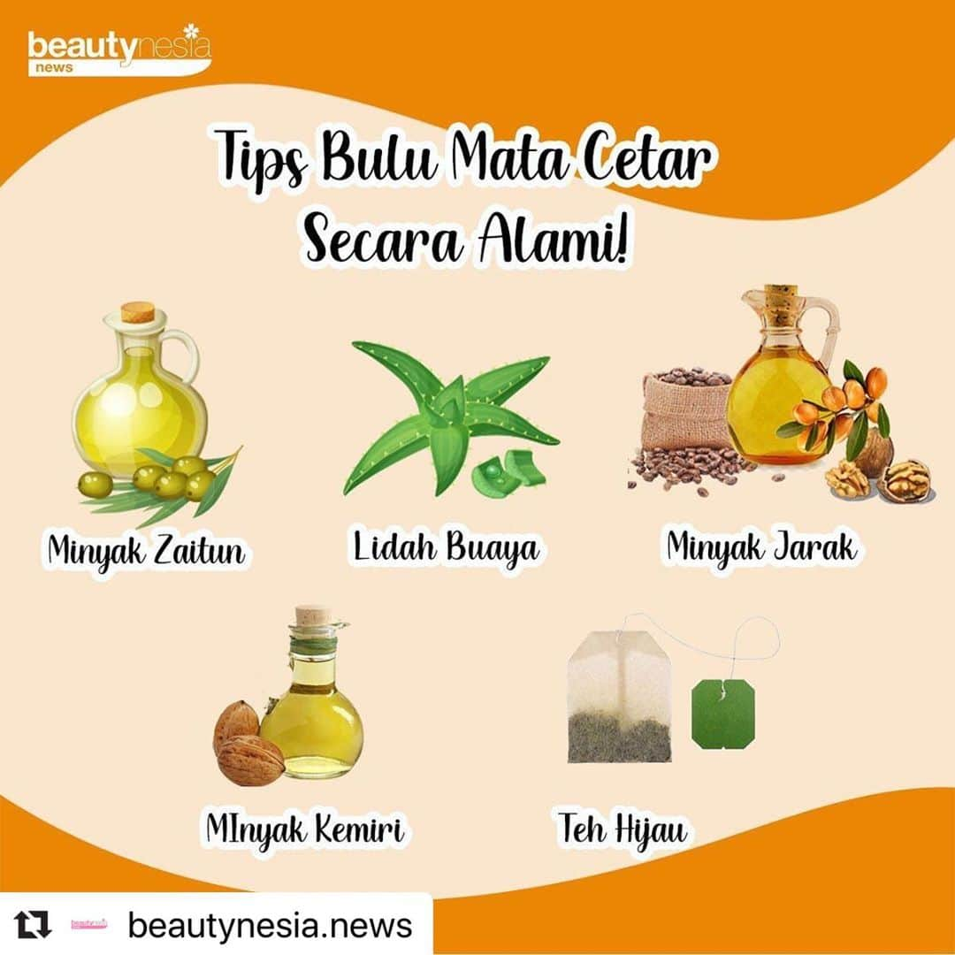 Beauty | Health | Fashionさんのインスタグラム写真 - (Beauty | Health | FashionInstagram)「Dari mata turun ke hati ❤ percaya kan beb sama istilah ini. Yap! Mata merupakan bagian wajah yang bisa jadi daya tarik lho.  Apalagi kalau punya bulu mata yang lentik, wah akan menambah tampilan mata jadi lebih hidup. Gak harus mahal, ternyata ada bahan alami yang bisa kamu gunakan secara rutin untuk menebalkan bulu mata beb. Caranya gampang, hanya perlu mengoleskannya ke bagian bulu mata menggunakan tangan atau cotton bud.⁣ ⁣ Tertarik mencoba beb ? hihihi⁣ ⁣ Yang udah pernah cobain, share yuk di kolom komentar 😉⁣ ⁣ --⁣  #BeautynesiaNews #Beautynesia #BuluMata #BuluMataLentik #BahanAlami #TipsBuluMata #Eyelash #EyeLook #BuluMataNatural #NaturalEyelash #TipsKecantikan #TipsCantik #CantikAlami #CantikNatural」8月3日 10時35分 - beautynesia.id