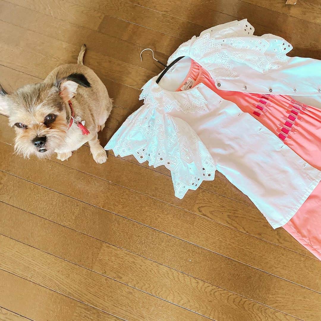 松尾たいこのインスタグラム