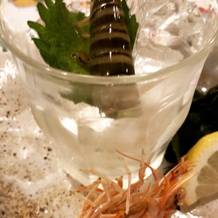 中村譲のグルメインスタ