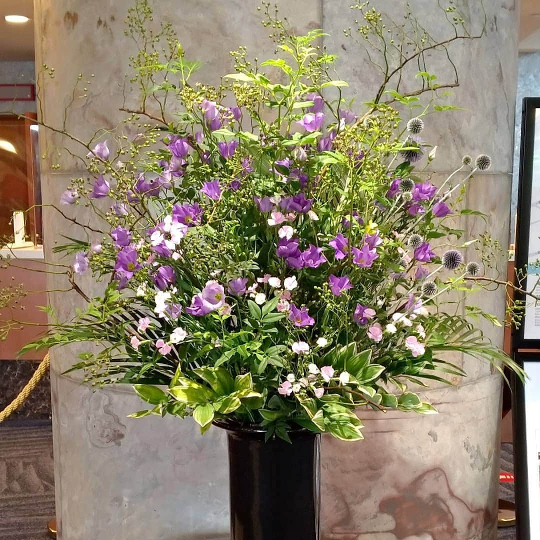 【公式】オーシャンリゾートホテル マホロバ・マインズ三浦さんのインスタグラム写真 - (【公式】オーシャンリゾートホテル マホロバ・マインズ三浦Instagram)「フロント前のお花たち、変わるたびに今度はどんなお花かなあとワクワクします。  相変わらずお花の名前は分からないのですが……。  #はなのあるくらし #はなすたぐらむ #花のある生活 #私の花の写真 #花好き#花の写真館 #南国の花 #花束 #フラワーアレンジメント #花のある暮らし #はなまっぷ #花のある景色 #みさきまぐろきっぷ #生け花 #フラワーアレンジ #きれいな花 #夏休み旅行 #フラワーデザイン #フラワーレッスン #神奈川旅行 #三浦半島いいところ #maholovamindsmiura #maholovaminds #マホロバケーション #マホロバマインズ #三浦 #三浦市 #マホロバ #三浦半島 #マホロバマインズ三浦」8月3日 11時28分 - maholova_minds_miura