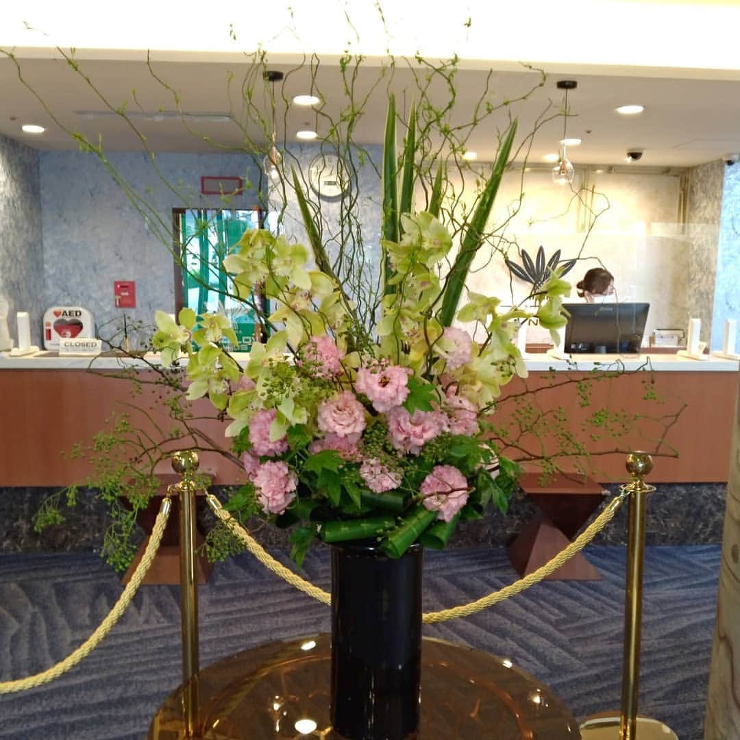 【公式】オーシャンリゾートホテル マホロバ・マインズ三浦さんのインスタグラム写真 - (【公式】オーシャンリゾートホテル マホロバ・マインズ三浦Instagram)「フロント前のお花たち、変わるたびに今度はどんなお花かなあとワクワクします。  相変わらずお花の名前は分からないのですが……。  #はなのあるくらし #はなすたぐらむ #花のある生活 #私の花の写真 #花好き#花の写真館 #南国の花 #花束 #フラワーアレンジメント #花のある暮らし #はなまっぷ #花のある景色 #みさきまぐろきっぷ #生け花 #フラワーアレンジ #きれいな花 #夏休み旅行 #フラワーデザイン #フラワーレッスン #神奈川旅行 #三浦半島いいところ #maholovamindsmiura #maholovaminds #マホロバケーション #マホロバマインズ #三浦 #三浦市 #マホロバ #三浦半島 #マホロバマインズ三浦」8月3日 11時28分 - maholova_minds_miura