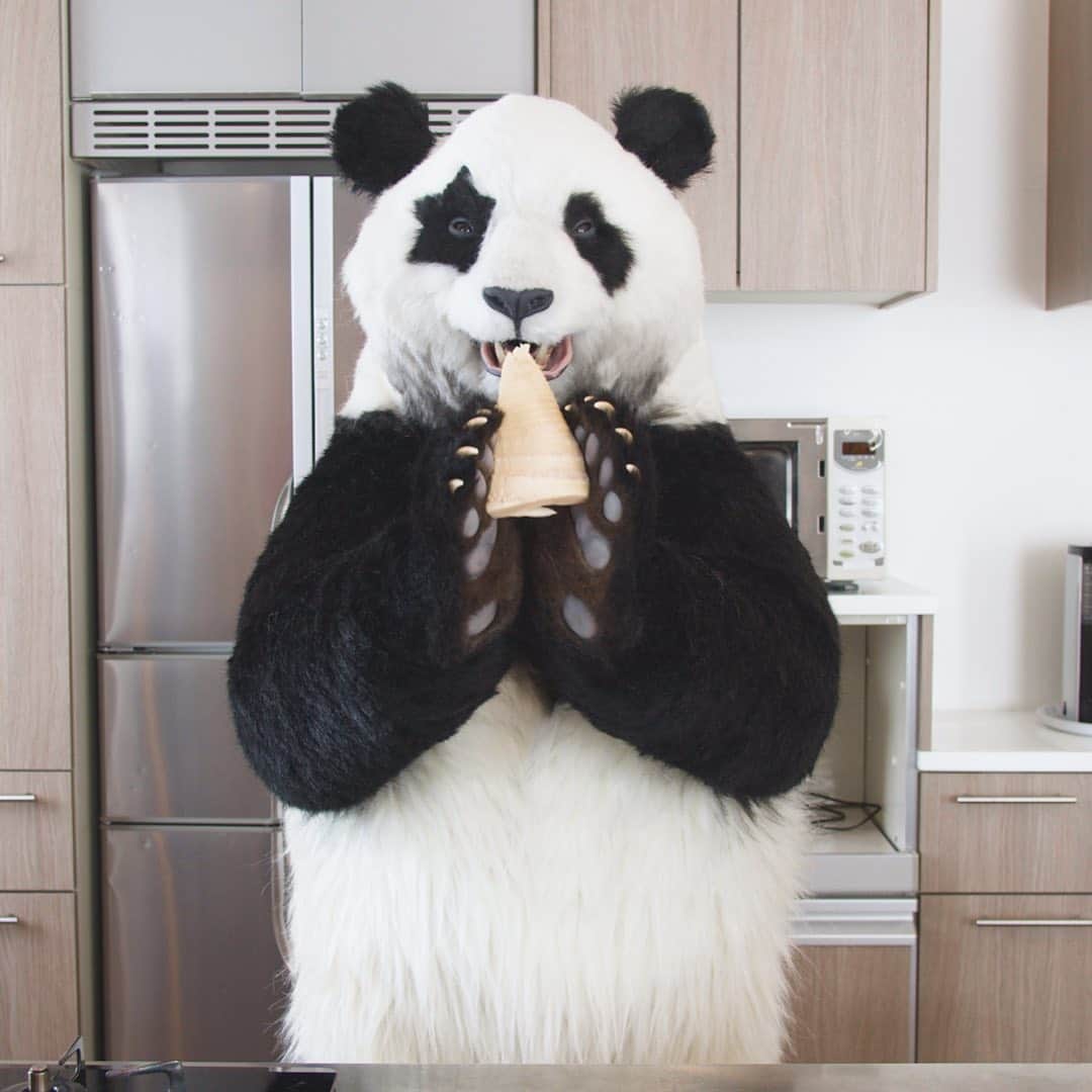 星星（セイセイ）さんのインスタグラム写真 - (星星（セイセイ）Instagram)「🎍😋 #タケノコ #うま #チン！ . きょうの #ベラベラENGLISHは ...💯 🌟microwave 🌟電子レンジ . #星星 #パンダ #panda #pandagram #パンダ好きな人と繋がりたい #ZIP!」8月3日 11時45分 - seisei_panda