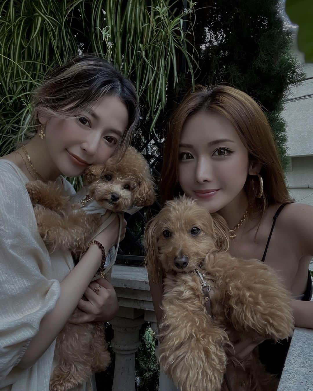 仲村美香のグルメインスタ