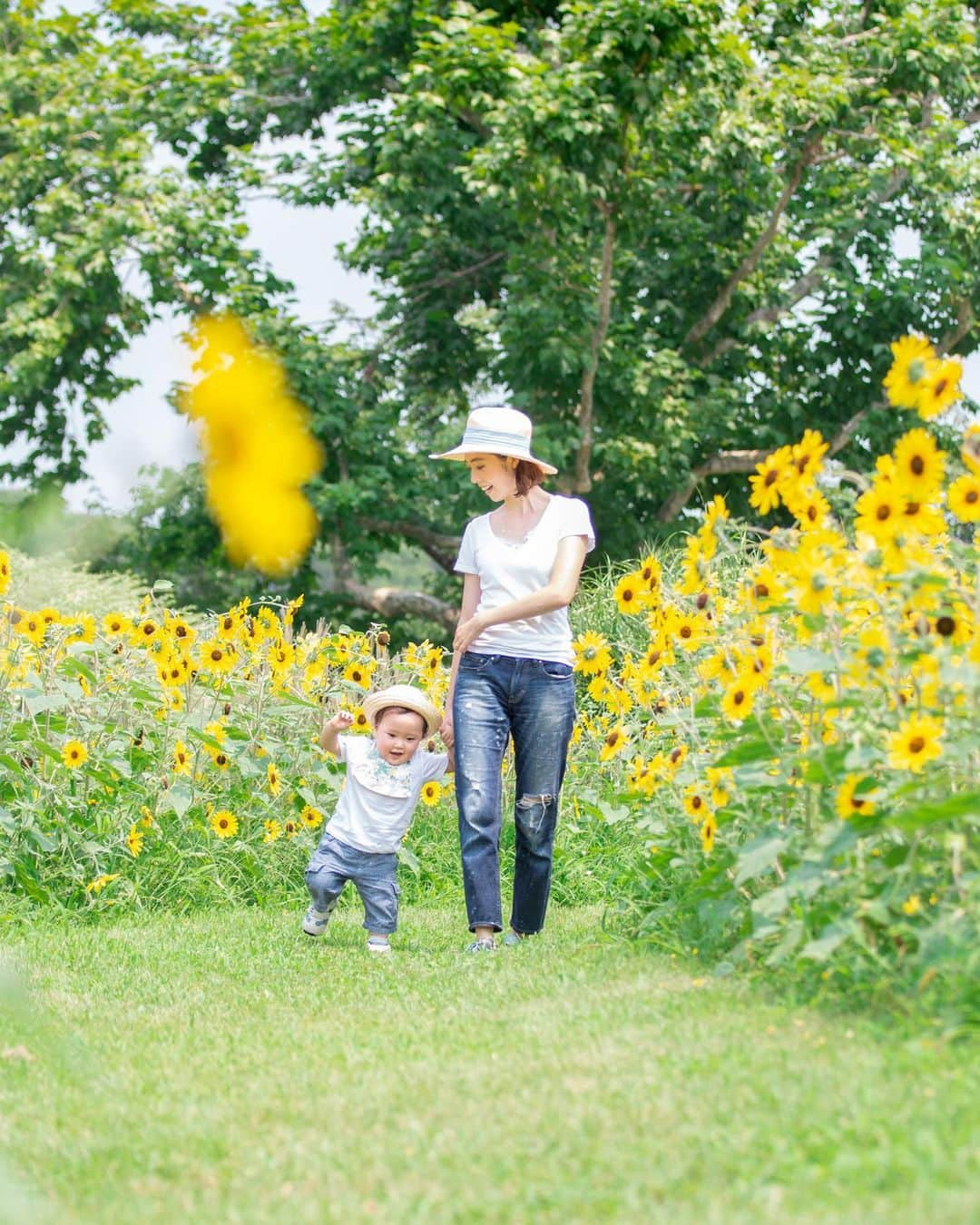 菅野広恵さんのインスタグラム写真 - (菅野広恵Instagram)「＊＊＊﻿ ちょうど1年前のひーくんとの写真🌻﻿ 歩けるようになったのが、かなり遅めのひーくんで、1歳８か月になりやっと歩けるようになってきて、歩くのが楽しい時期の息子くん♡﻿ ﻿ 周りがどんどん歩けていき、息子だけハイハイだったので、この頃は児童館で毎日めちゃくちゃ歩く練習を一緒にしてました🤣‼︎懐かしいw‼︎﻿ ひーくん、よく頑張ったね‼︎﻿ ﻿ 写真は大阪時代お世話になった大好きなカメラマンさんの　@yokotannuuuuuu さん❤️﻿ @yokotannuuuuuu  さんのお写真本当めちゃくちゃ好きすぎて、東京でもイベント開催してもらいまいぐらい😭w﻿ 大阪の皆様！今ひまわりフォトやってるのでおすすめです✨﻿ 羨ましい🥺💓﻿ ﻿ #ひまわり　#ひまわりフォト　#2歳8か月  #2歳児  #1歳8ヶ月  #ポートレート　#ポートレート撮影  #子育て中　#子育て　#育児日記  #育児記録  #子育てママ  #子育て日記  #子育てママと繋がりたい  #記念写真  #万博記念公園  #万博公園  #大阪フォトグラファー  #子連れ　#リンクコーデ　#親子リンクコーデ　#ママリ　#mamagirl  #uniqlo」8月3日 12時04分 - hiroesugano