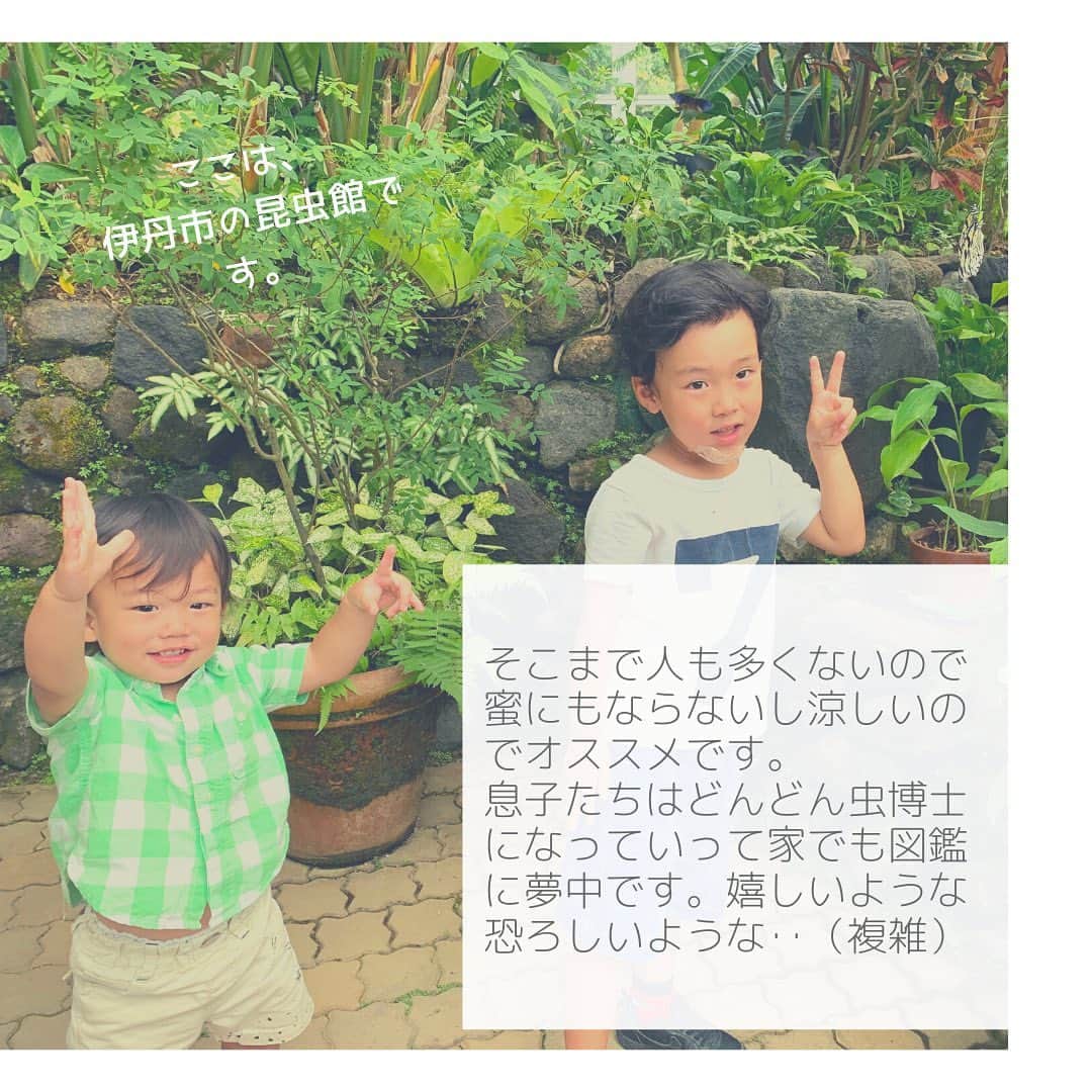 Miho Tanakaさんのインスタグラム写真 - (Miho TanakaInstagram)「. 男の子は虫好きになるとは聞いてたけど、うちの息子たち、想像以上に虫ラバーです。 ※私は極度の虫嫌い  息子が生まれるまでは「昆虫館なんて誰が行くねん！」なんて思ってたけど普通にリピーターw  最初は泣きそうでしたが、人間という生き物はすごいですね。慣れていきます。  最近は模型でさえギャーー🙀やったのに今ではタランチュラを普通に見れるレベルになりました。  昆虫館って、程よく人も少なくて、涼しいし、勉強にもなるので結構オススメですよ💡  遊び場に困った時はぜひ🙋‍♀️ . ※ここは伊丹市昆虫館です。 とても広い公園の中にあるので気持ちいい！展望台もある！ ネックは駐車場から結構遠いところかな。 ____________________ #虫好き男子 #虫 #昆虫  #昆虫好きな人と繋がりたい  #いや繋がりたくない #昆虫館　#男の子兄弟 #男の子ママ  #虫いっぱい #虫に夢中 #昆虫博士  #昆虫すごいぜ #昆虫観察 #生き物大好き #生き物好きな人と繋がりたい  #男の子ママの宿命 #慣れって怖い #カブトムシ #カブトムシ探し  #田舎暮らし #近場で楽しむ  #家族時間 #伊丹市昆虫館　#伊丹市昆虫館チョウ温室  #伊丹市」8月3日 12時06分 - mie__blogger