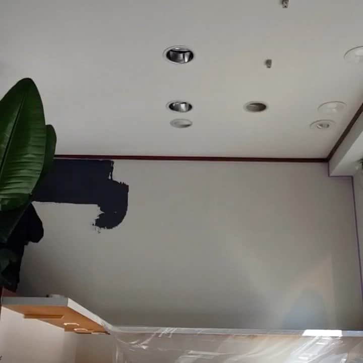 Rachien Smoothieのグルメインスタ