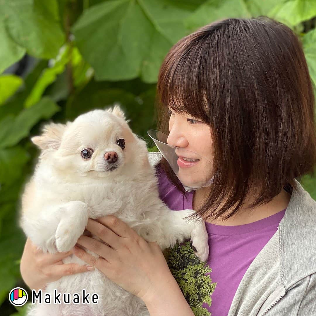 iDog&iCatさんのインスタグラム写真 - (iDog&iCatInstagram)「📢 .  Makuakeサイトにてマスクタイプでやわらかい！FASEEクリア簡易飛沫シールドの限定受付開始！  笑顔や感謝を伝えたい！あふれる笑顔で世界を元気にしたい！そんな想いで作った飛沫防止フィルターです。  クリアな柔らかい素材で笑顔・感謝が伝わる！接客やビジネスシーンにピッタリ。  圧倒的に呼吸がしやすく快適！暑苦しさや閉塞感がありません。  特許取得済！マスクのように耳にかけるだけ！フェイスシールドよりも軽くまて簡単に装着できます。  詳しくはストーリーまたは、ストーリーハイライトにて公開中！  ※Makuakeサイト限定受付となります。  #iDog #iDogiCat #iCat #idogicat#飛沫防止 #フェイスシールド  #FASEEクリア簡易飛沫シールド#Makuake #マクアケ」8月3日 13時49分 - idogicat