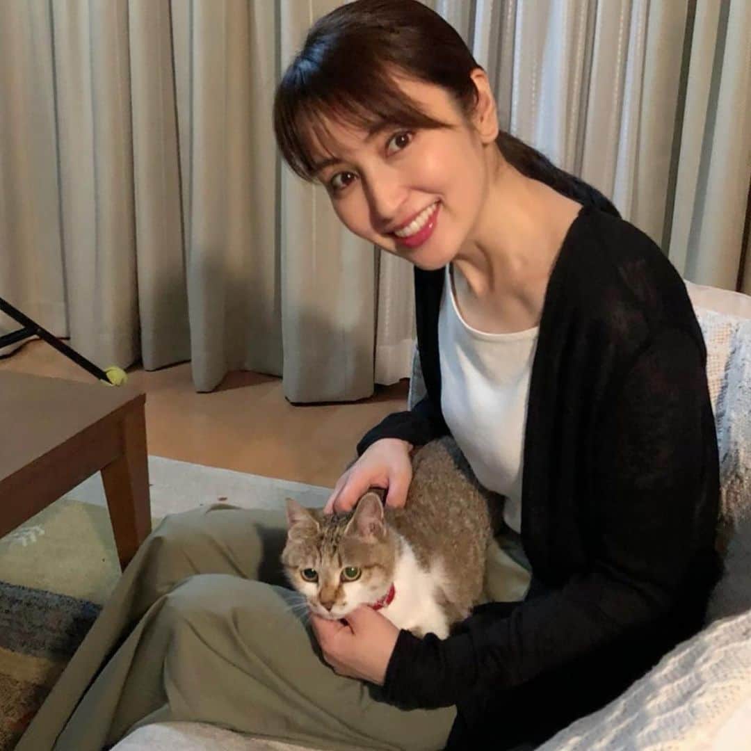 矢田亜希子さんのインスタグラム写真 - (矢田亜希子Instagram)「可愛い猫ちゃんと共演‼︎猫ちゃんと一日中お芝居‼︎ 可愛すぎる。。。 #撮影#猫#共演#あまえんぼうなところがたまらなく可愛い」8月3日 14時21分 - akiko_yada