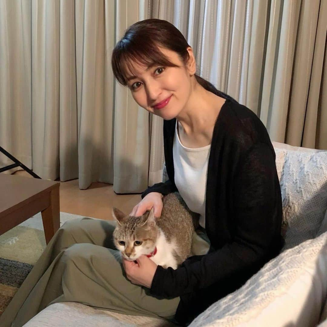 矢田亜希子さんのインスタグラム写真 - (矢田亜希子Instagram)「可愛い猫ちゃんと共演‼︎猫ちゃんと一日中お芝居‼︎ 可愛すぎる。。。 #撮影#猫#共演#あまえんぼうなところがたまらなく可愛い」8月3日 14時21分 - akiko_yada