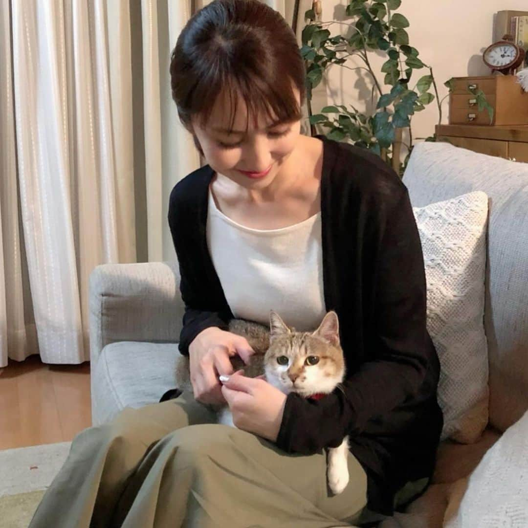 矢田亜希子さんのインスタグラム写真 - (矢田亜希子Instagram)「可愛い猫ちゃんと共演‼︎猫ちゃんと一日中お芝居‼︎ 可愛すぎる。。。 #撮影#猫#共演#あまえんぼうなところがたまらなく可愛い」8月3日 14時21分 - akiko_yada