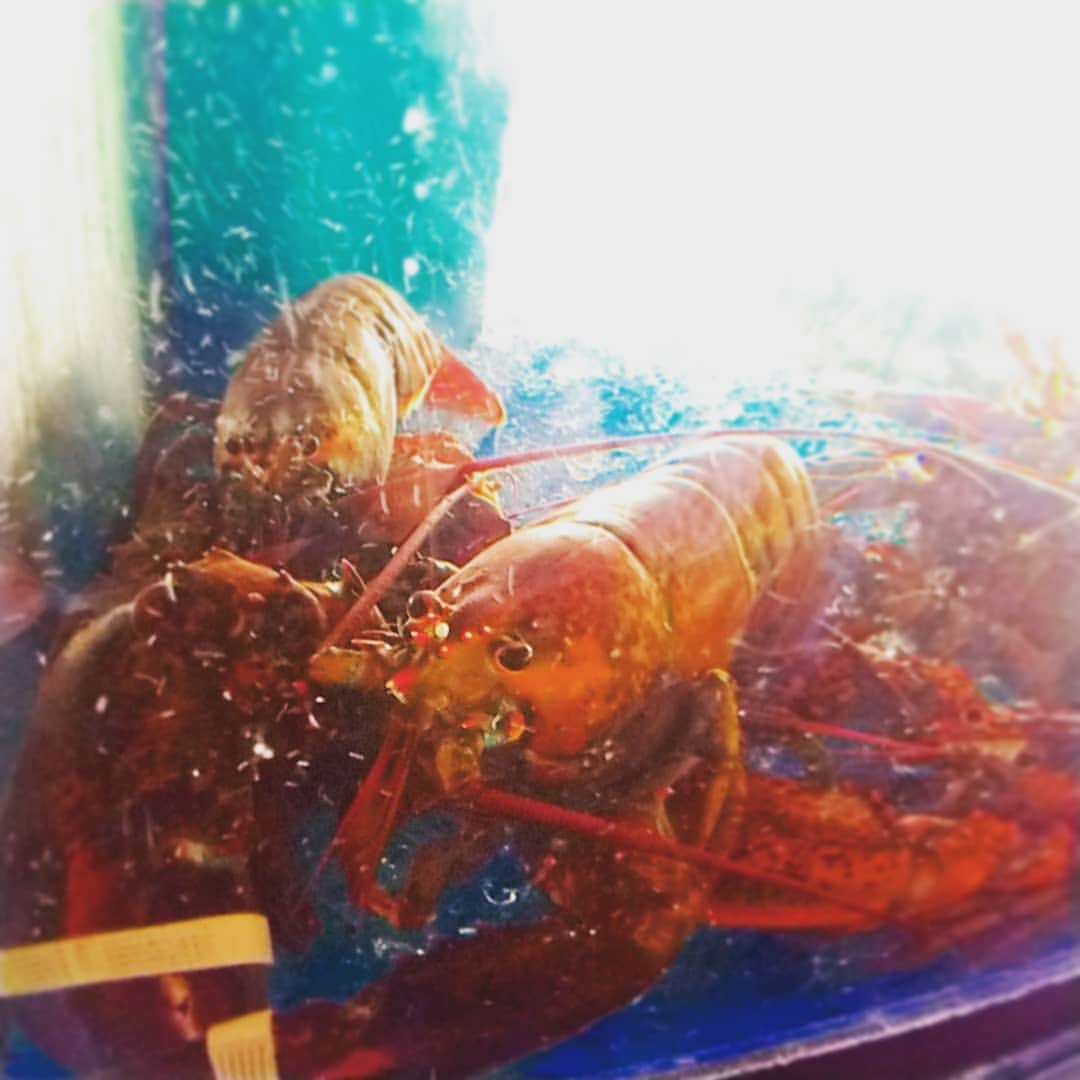 sdiningのグルメインスタ