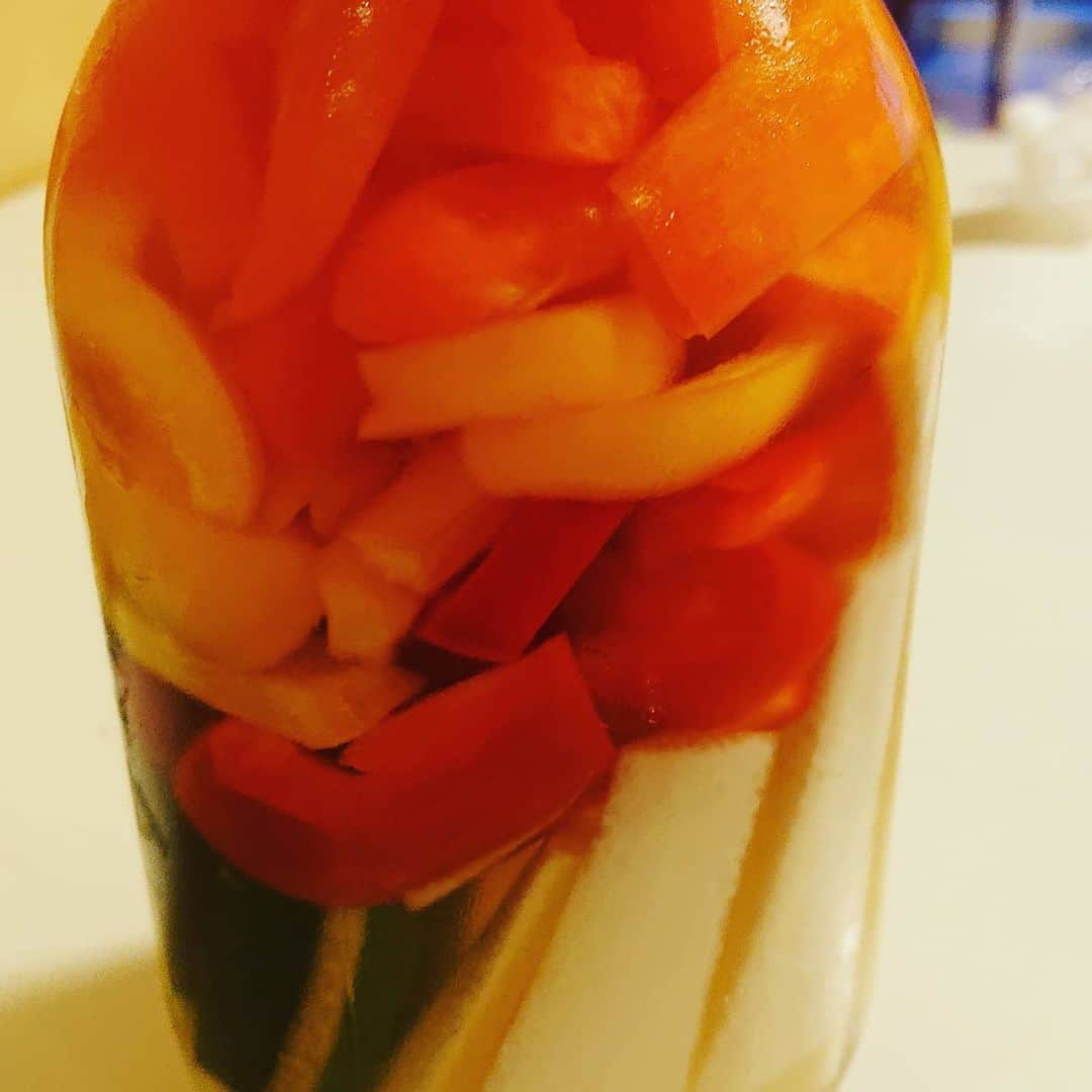 彦摩呂さんのインスタグラム写真 - (彦摩呂Instagram)「夏がやって来た‼️ 「夏野菜のピクルス」 作ったよ😃🎵🌸 簡単ですよ。 きゅうり、大根、パプリカ赤、黄色 オレンジ色を、切って、ビンに詰めて、浅漬けの素、お酢少々です。 冷蔵庫で冷やして出来上がりです‼️ お好みで、ニンニク、ショウガ、鷹の爪等、入れても美味しいよ😃🎵 #彦摩呂#簡単レシピ #パプリカ #浅漬け#簡単おつまみレシピ」8月3日 14時44分 - hikomaro_honmono