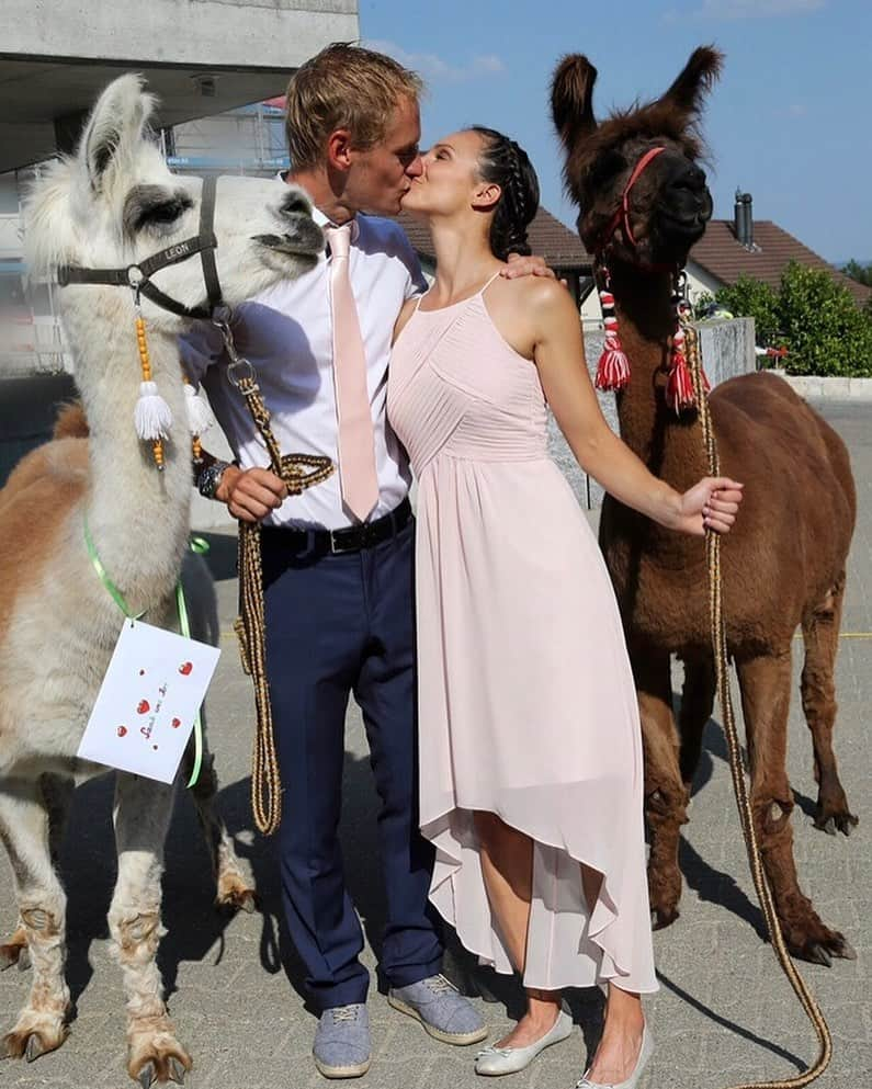 サラ・マイアーさんのインスタグラム写真 - (サラ・マイアーInstagram)「🦙❤️ 2 years married today ❤️🦙 @janvberkel  . Foto: Roli Walter . #happy #thankful #weddinganniversary #twoyearsmarried #lamalove #mirzwei」8月3日 15時21分 - sarah.van.berkel