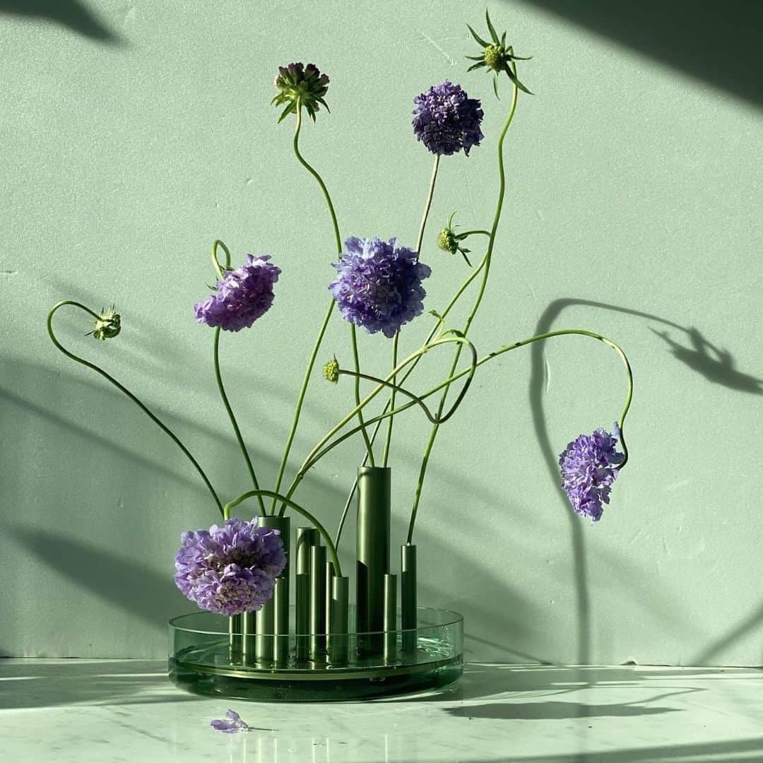 フリッツハンセンさんのインスタグラム写真 - (フリッツハンセンInstagram)「Selecting flowers for the Ikeru vase is an act of meditation. Flower arranging can help slow the mind and bring presence and peacefulness. The Ikeru vase by Jaime Hayon is inspired by ikebana, the Japanese art of flower arranging.  by @botalabo_jungheeyeon   Explore more via link in bio  #fritzhansen #ikeruvase #ikeruvasehigh #jaimehayon #accessoriesbyfritzhansen #fritzhansenaccessories #accessories #프리츠한센 #フリッツハンセン」8月3日 16時00分 - fritzhansen