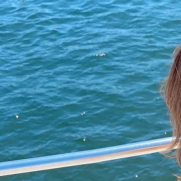 のインスタグラム：「🏖🐠☀️ . 夏なのでアイコンも夏らしく。」