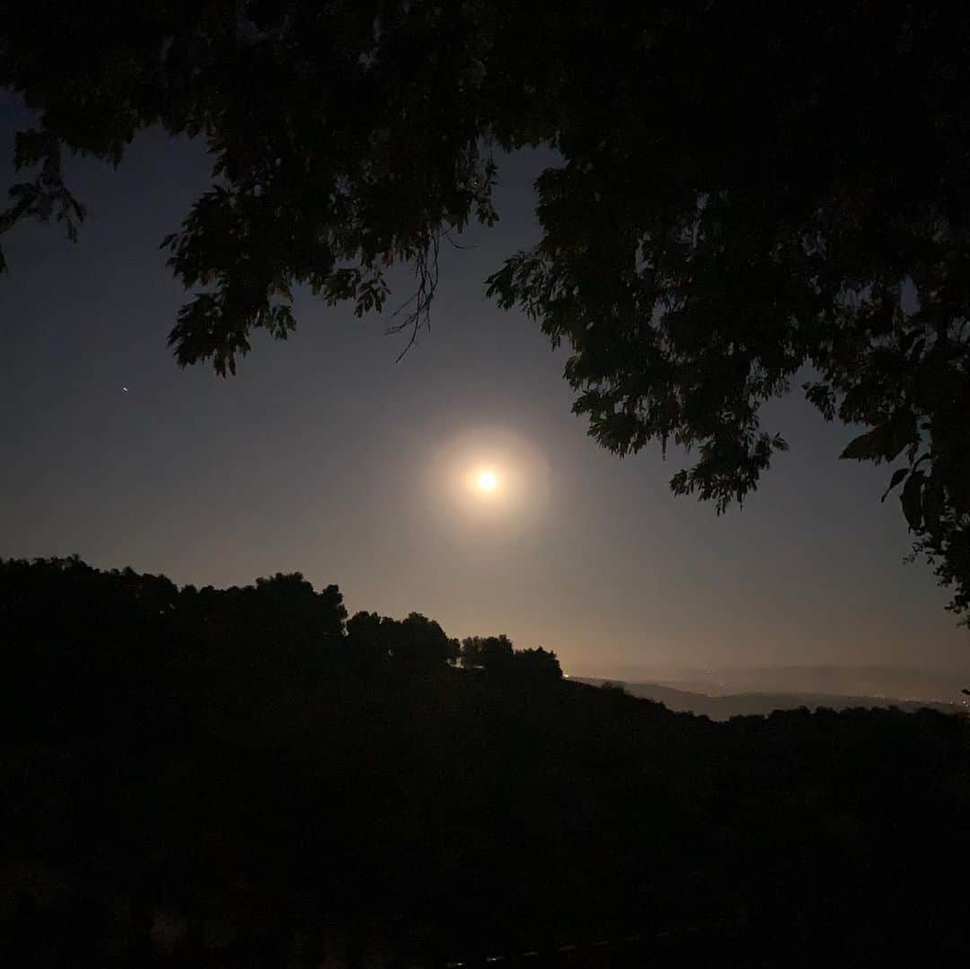 キャロリン・マーフィーさんのインスタグラム写真 - (キャロリン・マーフィーInstagram)「Moonrise kingdom 🌝」8月4日 1時56分 - carolynmurphy