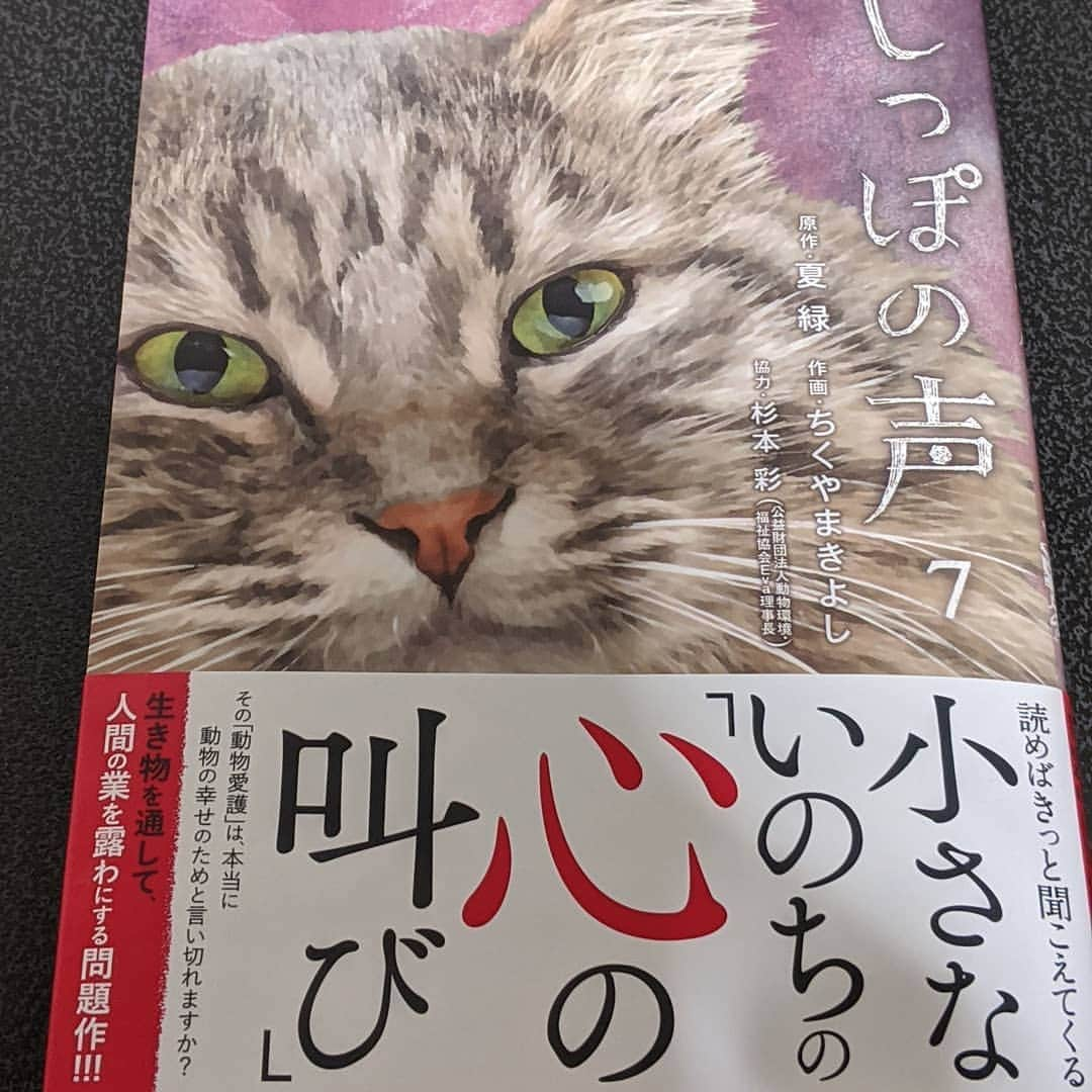 月野帯人さんのインスタグラム写真 - (月野帯人Instagram)「小動物たちの現実を是非みてくださいm(__)m #しっぽの声 #しっぽの声7 #動物愛護 #動物愛護センター  #ボランティア活動 #全犬類のボランティア活動します」8月4日 2時17分 - taitotsukino