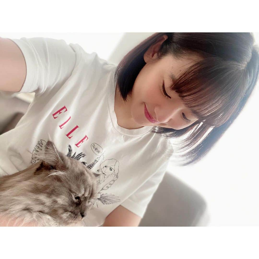 仲川遥香さんのインスタグラム写真 - (仲川遥香Instagram)「🐱❤️  #indonesia #japan #kucing #cat #love #harukanakagawa #インドネシアタレント #ジャカルタ生活 #猫 #仲川遥香」8月3日 18時24分 - haruuuu_chan