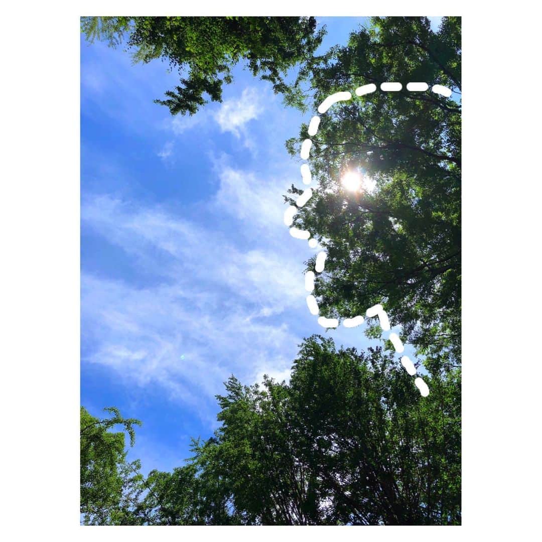 理絵さんのインスタグラム写真 - (理絵Instagram)「なんとなく木と太陽が人の横顔に見えた  なんとなく…です  #sky #cielo #하늘 #空 #tokyo #japan #cielo_rie」8月3日 18時31分 - ____rie____