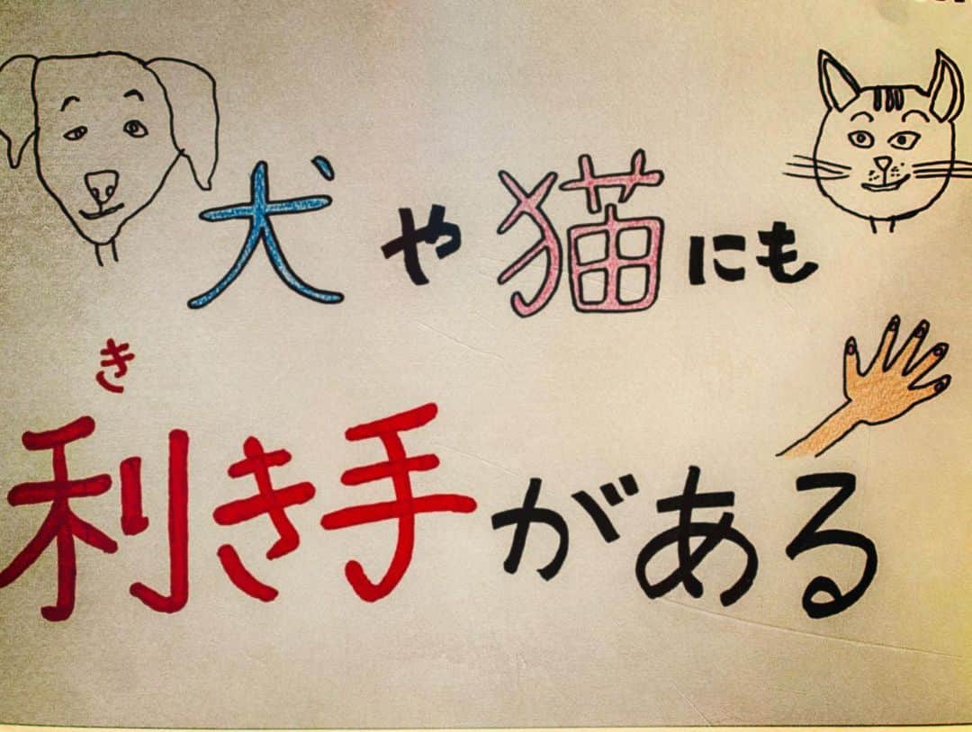 北海道放送「今日ドキッ!」のグルメインスタ