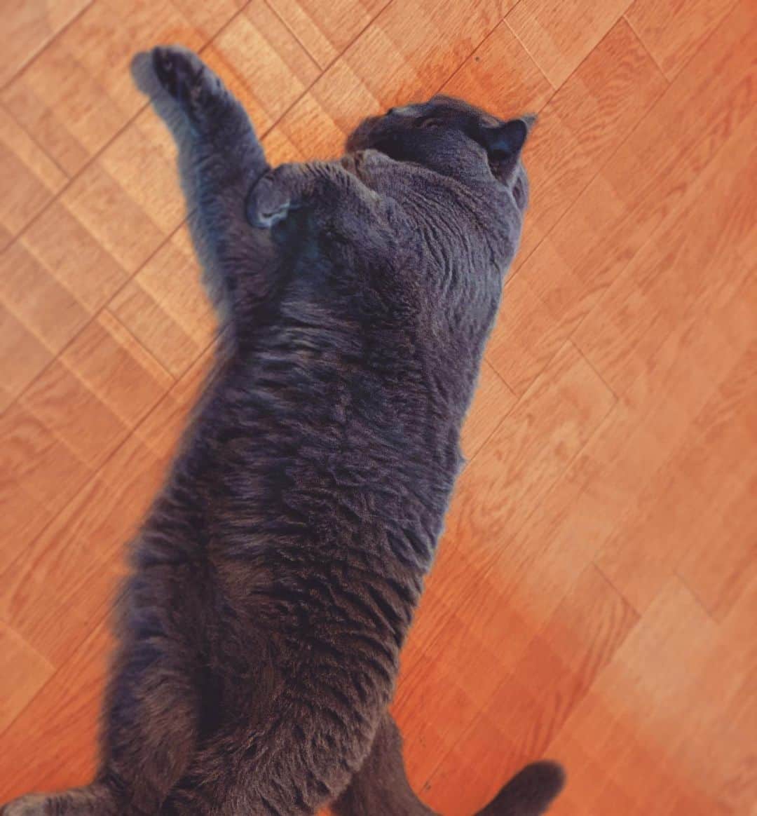 チキン南蛮カレーのルウ王子のグルメインスタ