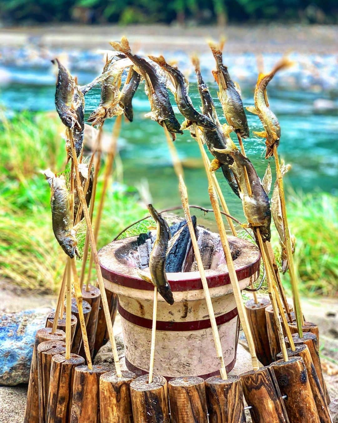 秋丸美帆さんのインスタグラム写真 - (秋丸美帆Instagram)「鮎BBQ😊👍✨  #fishing #fish #river #kyushu #bbq #釣り #鮎釣り #九州 #夏休み #夏」8月3日 20時03分 - mippy34