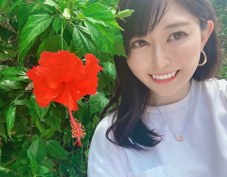 坂口莉果子のインスタグラム：「島のお花🌺 ・ ・ ・ #japan  #taketomiisland  #ishigakiisland  #beautiful  #beach  #summer  #trip  #tripgram  #okinawa  #nature  #island  #日本 #沖縄 #沖縄好き  #竹富島  #石垣島 #夏 #海  #カイジ浜  #コンドイビーチ  #自然  #旅行  #旅  #旅行好きな人と繋がりたい #過去pic  #白t  #2020 #swarovski #花  #ハイビスカス」