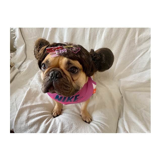 のインスタグラム：「2020.8.3 🎂みたらし3歳のお誕生日❤️ 今年はフワちゃんに扮してみました😂  1歳半で4匹のパパになり 温厚な性格で子供たちに喧嘩を売られまくってもやられ放題のみーくん笑 これからも優しいパパ犬として長生きしてね💓  #フレンチブルドッグ  #フワちゃん」