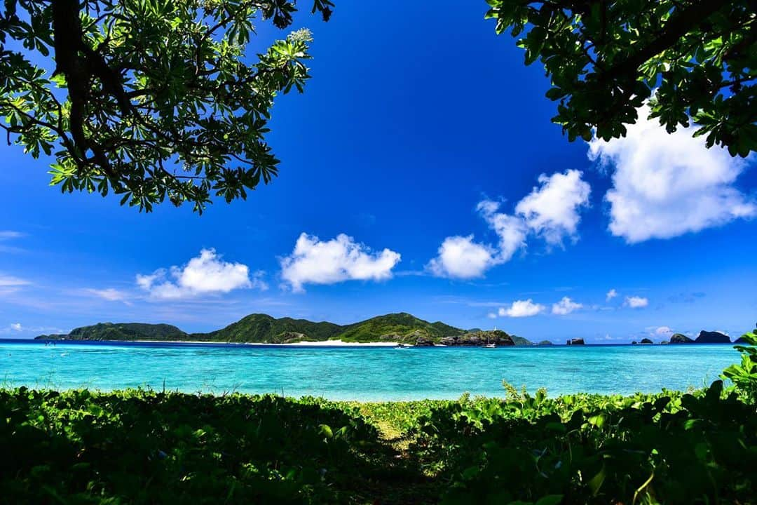 Syuuichi Yamadaさんのインスタグラム写真 - (Syuuichi YamadaInstagram)「座間味島の阿真ビーチ🏝 木陰から眺める 海が気持ちいいね🌞 #座間味 #阿真ビーチ」8月3日 20時48分 - yama_ok5