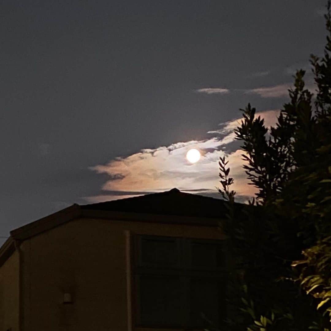 江口寿史さんのインスタグラム写真 - (江口寿史Instagram)「龍の眼のような小宵の月です。」8月3日 20時57分 - egutihisasi