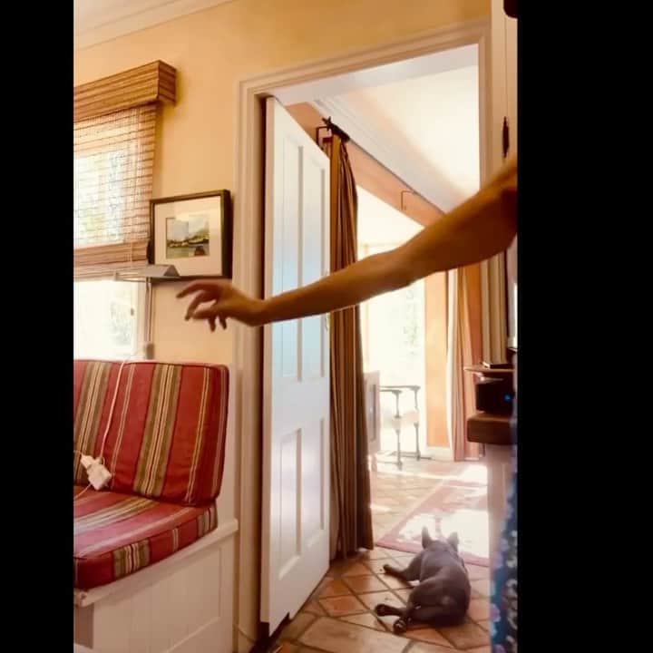 セレステ・バーバーのインスタグラム：「Dance like all your bras are in the wash.  #celestechallengeaccepted  #celestebarber  #funny  #lisarinna」