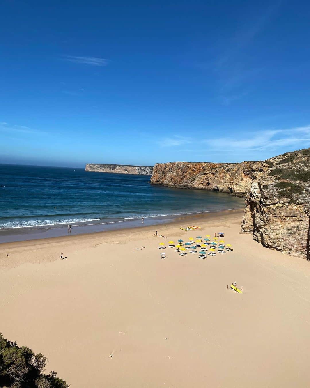 モード・ウェルゼンのインスタグラム：「🦋🐟🦎🐡🐋🦈 #emptybeaches」