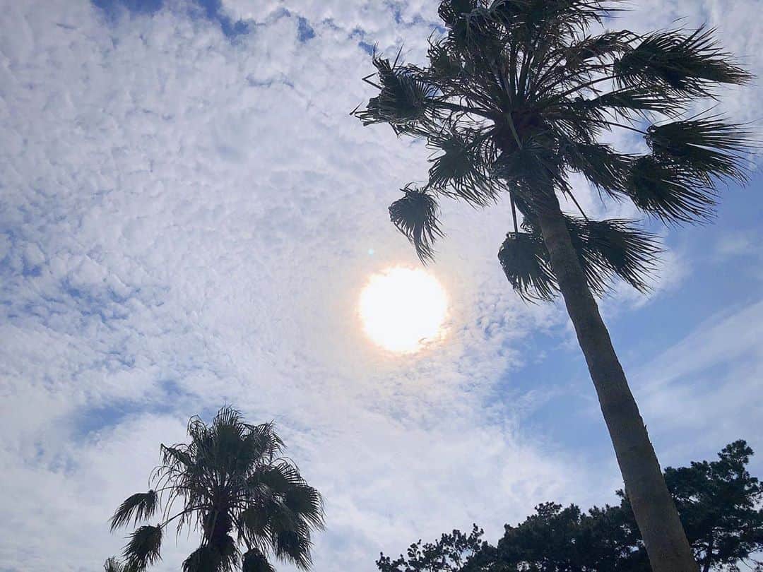 yuu__aaaのインスタグラム：「. . 今日も暑かったね☀️🥺！！ . かき氷食べたい🍧🤭 . . #summer #夏#海#beach#水着#day#暑い#夏コーデ」