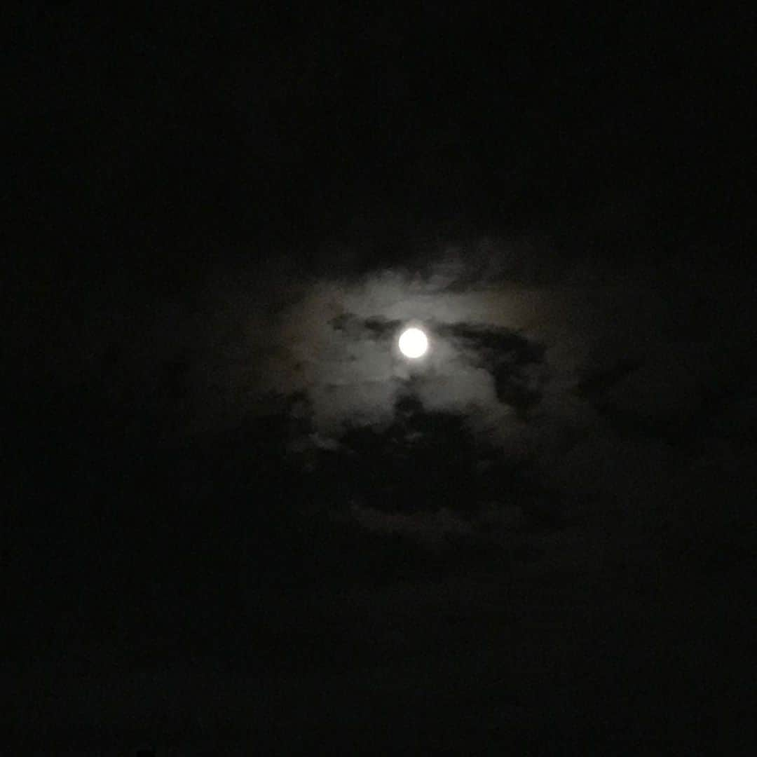 lululukululuさんのインスタグラム写真 - (lululukululuInstagram)「スタージェンムーン🌝 今夜は満月 #満月#full moon#月#スタージェンムーン」8月3日 21時24分 - tajitajicat