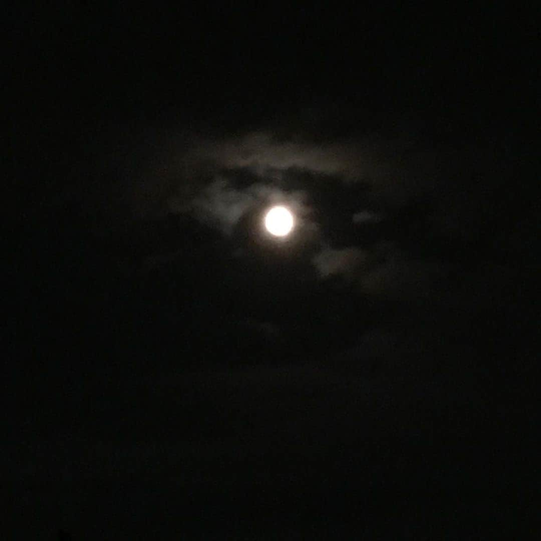 lululukululuさんのインスタグラム写真 - (lululukululuInstagram)「スタージェンムーン🌝 今夜は満月 #満月#full moon#月#スタージェンムーン」8月3日 21時24分 - tajitajicat