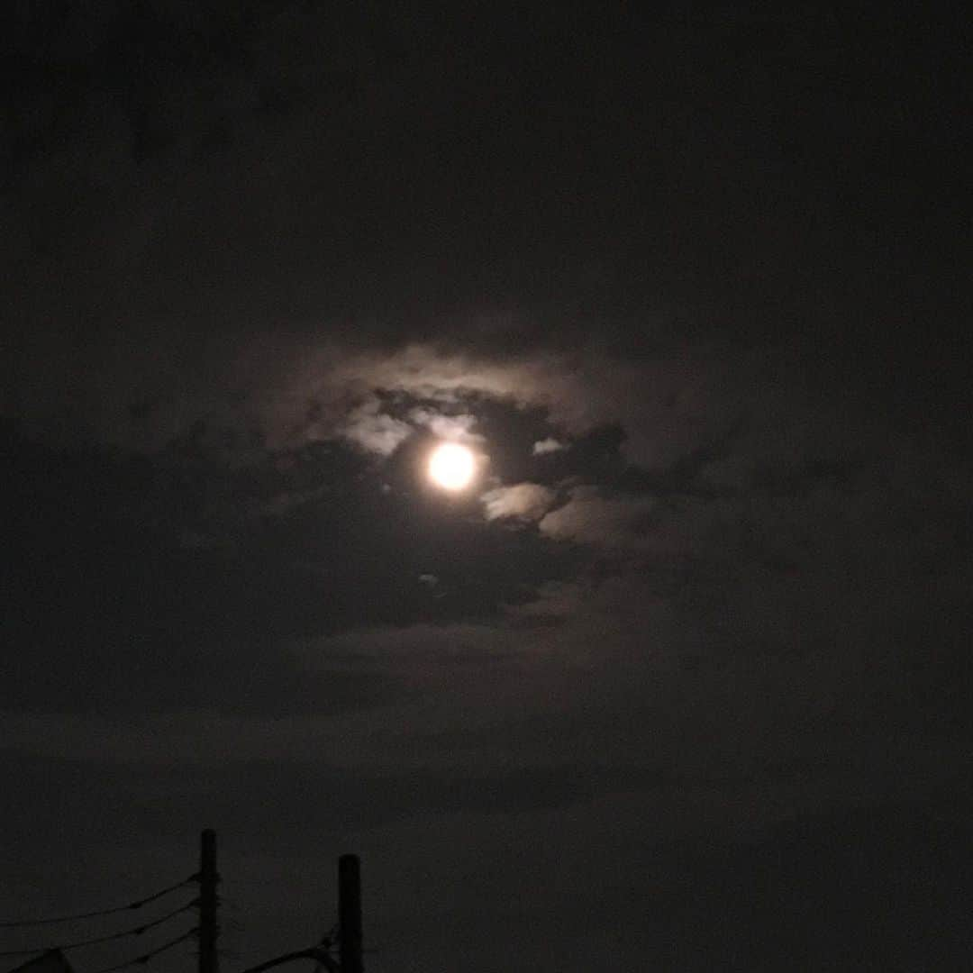 lululukululuさんのインスタグラム写真 - (lululukululuInstagram)「スタージェンムーン🌝 今夜は満月 #満月#full moon#月#スタージェンムーン」8月3日 21時24分 - tajitajicat