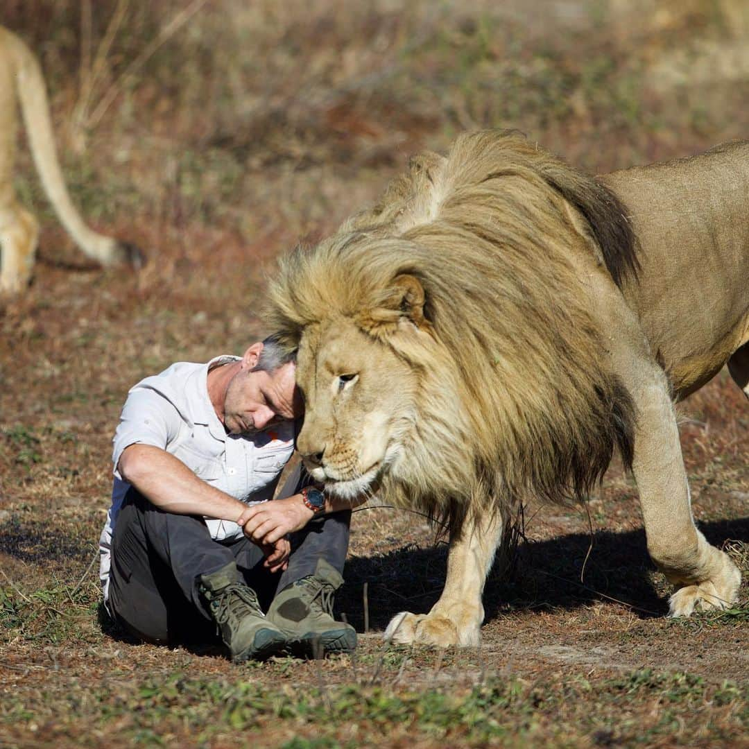 Kevin Richardson LionWhisperer のインスタグラム